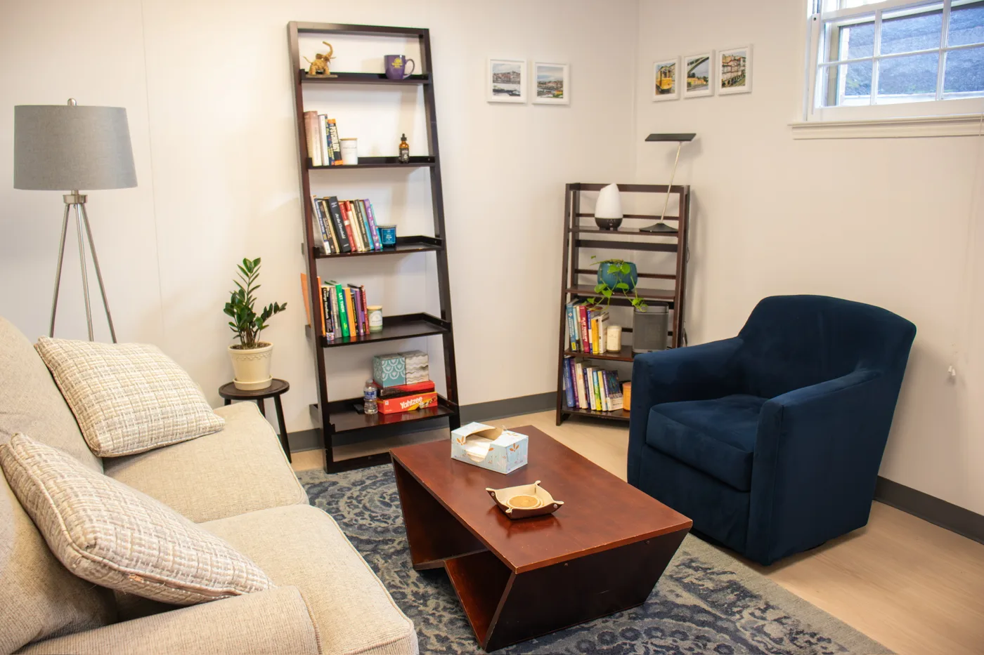 Therapy office at Stephen DiCarlo Therapy in Falls Church with couch, armchair, and bookshelves.