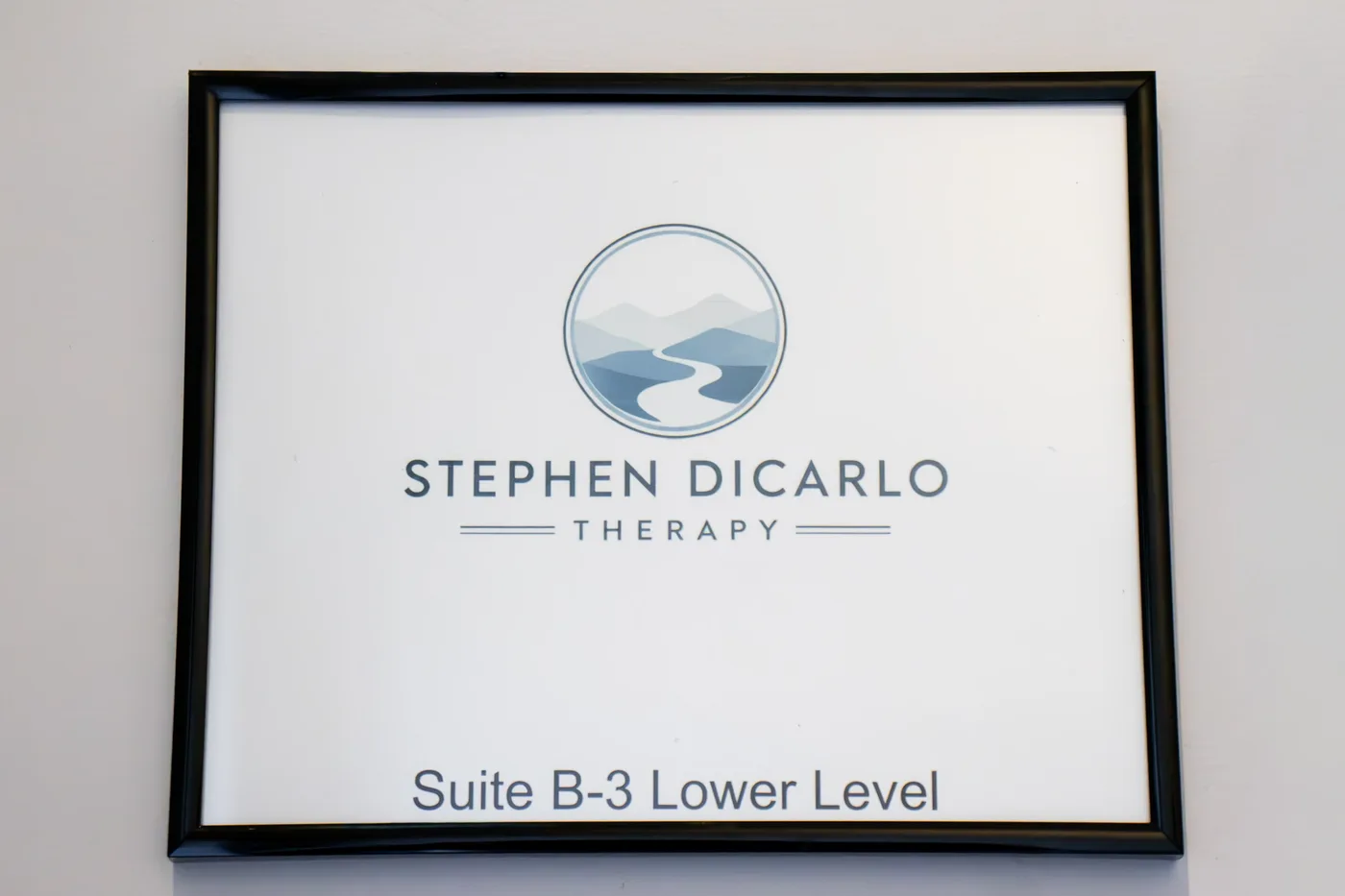 Stephen DiCarlo Therapy office sign for Suite B-3, Lower Level, in Falls Church, Virginia.